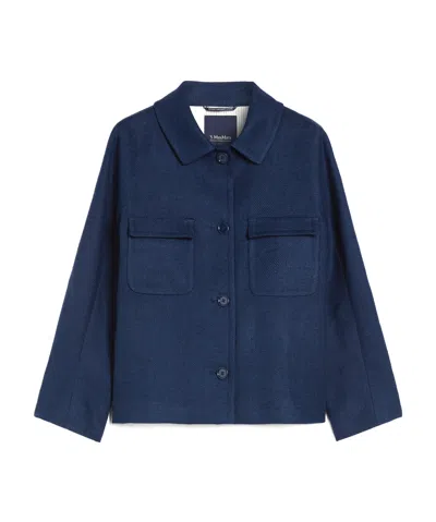 Max Mara Lapel Jacket In Blue