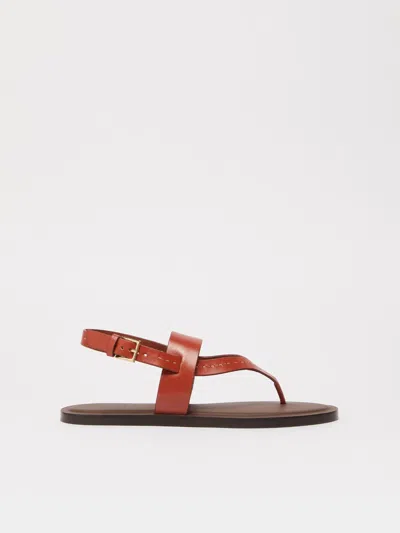 Max Mara Leather Flip-flops In Rust