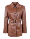 Max Mara Studio Button-up Belted Jacket In Brown