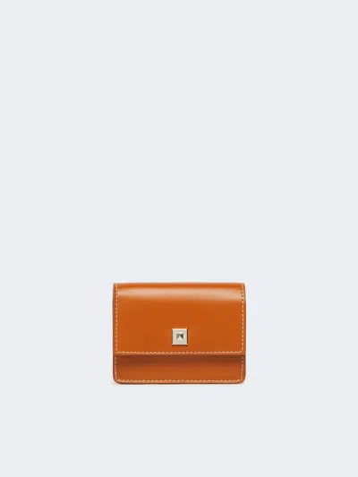 Max Mara Leather Purse In Rust