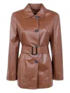 Max Mara Studio Button-up Belted Jacket In Brown