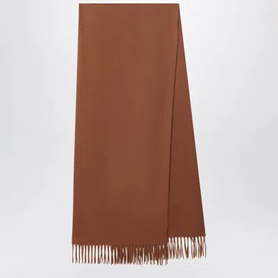 Max Mara Baci Fringed Logo-embroidered Scarf In Brown