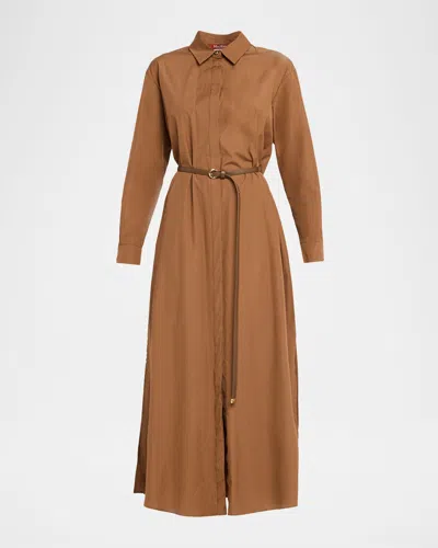 Max Mara Lecito Belted Cotton Midi Shirtdress In Brown