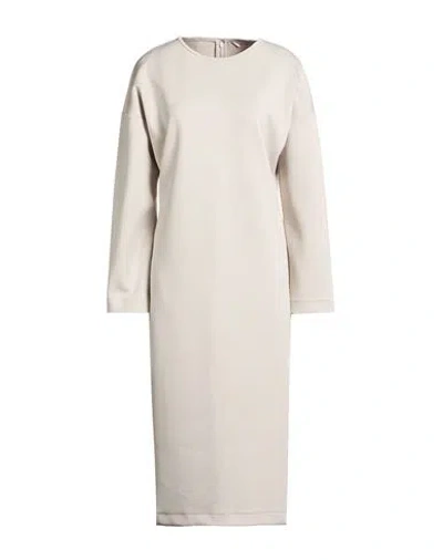 Max Mara Leisure Woman Midi Dress Light Grey Size S Polyester, Elastane In Neutral