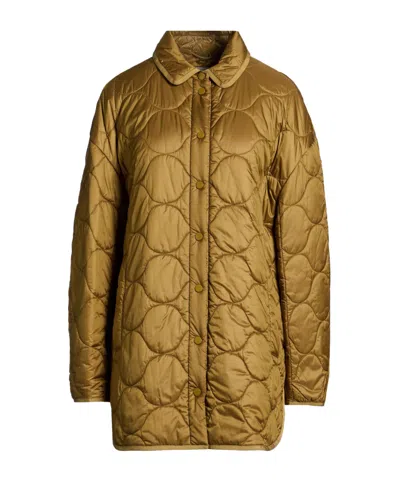 Max Mara Light And Warm Cotton-padded Jacket In Multi