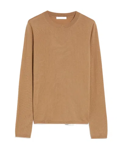 Max Mara Light Cashmere Sweater In Brown