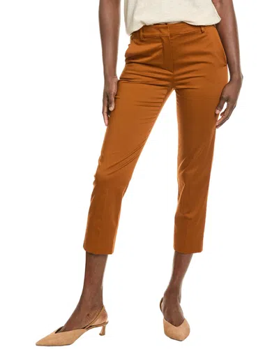 Max Mara Lince Trouser In Brown