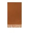 Max Mara Cashmere Stole With Embroidery And Fringing In Brown