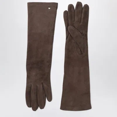 MAX MARA MAX MARA LONG BROWN SUEDE NAPPA GLOVES