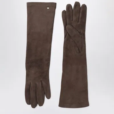 Max Mara Long Brown Suede Nappa Gloves