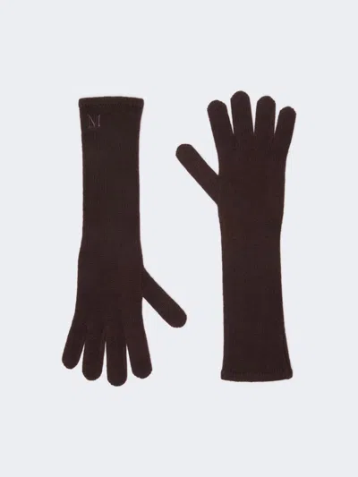 Max Mara Long Cashmere Gloves In Brown
