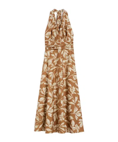 Max Mara Halterneck Printed Cotton Midi Dress In Brown