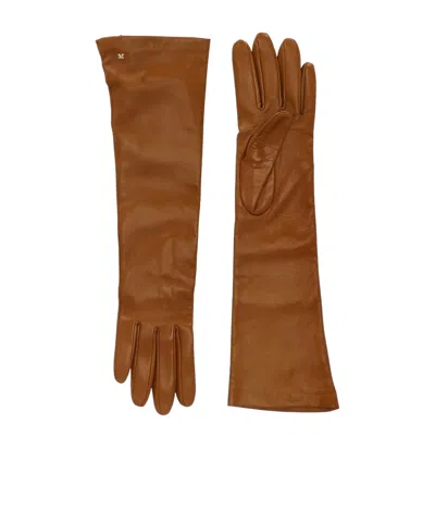 Max Mara Long Gloves In Brown