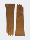 Max Mara Long Nappa Leather Gloves In Green