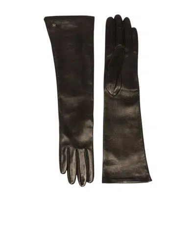 Max Mara Long Nappa Leather Gloves In Gold