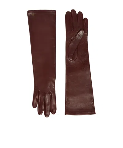 Max Mara Long Nappa Leather Gloves In Brown