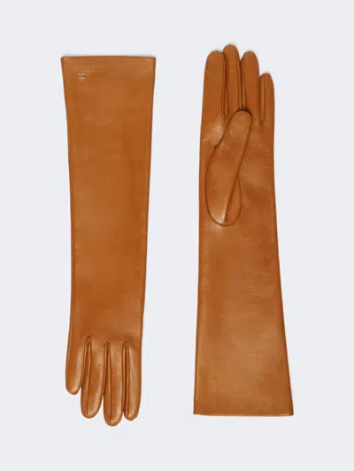Max Mara Long Nappa Leather Gloves In Sand