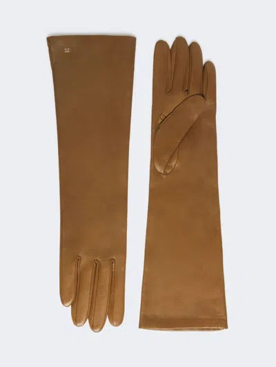 Max Mara Long Nappa Leather Gloves In Tobacco