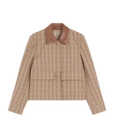 Max Mara Long Sleeve Casual Jacket In Brown