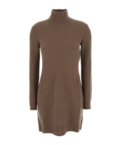 Max Mara Long Sleeve Dress In Brown