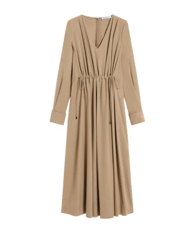 Max Mara Long Sleeve Dress In Brown