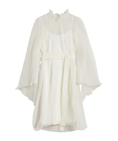 Max Mara Long Sleeve Dress In Gray