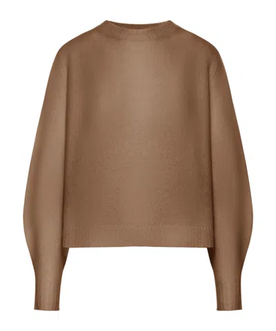 Max Mara Long Sleeve Sweater In Brown
