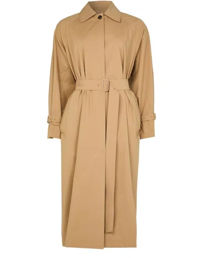 Max Mara Epoche Cotton Poplin Trench Coat In Brown