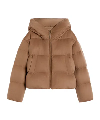 Max Mara Long-sleeved Cotton Jacket In Brown