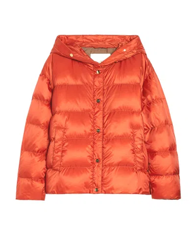 Max Mara Long-sleeved Down Jacket In Orange