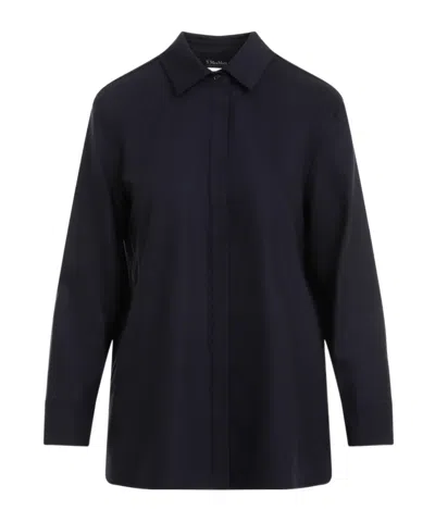 Max Mara Long-sleeved Shirt In Blue