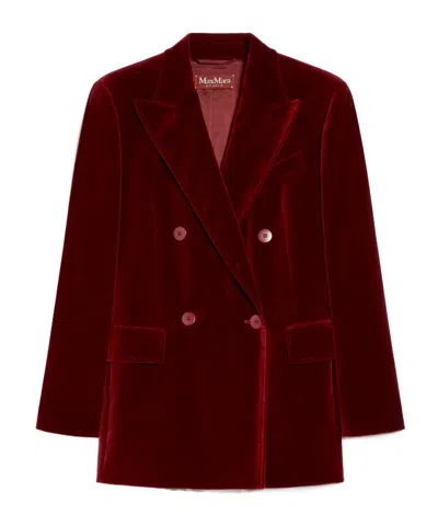 Max Mara Long-sleeved Suit Coat In Brown