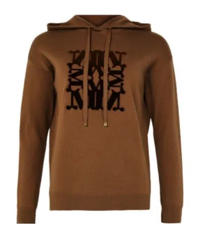Max Mara Long-sleeved Sweater In Brown