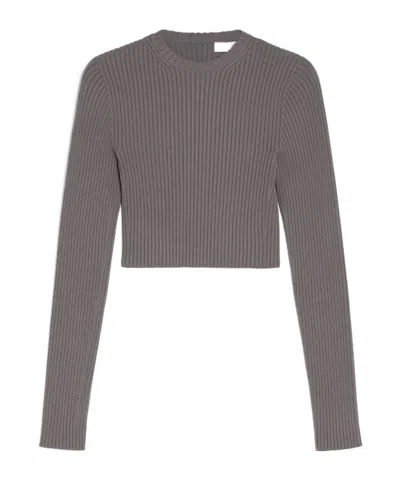 Max Mara Long-sleeved Sweater In Gray