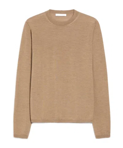 Max Mara Long-sleeved Sweater In Nude