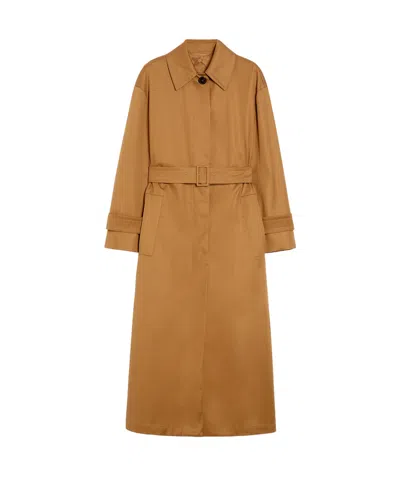 Max Mara Long-sleeved Windbreaker In Brown