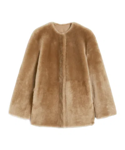 Max Mara Long-sleeved Wool Coat In Brown