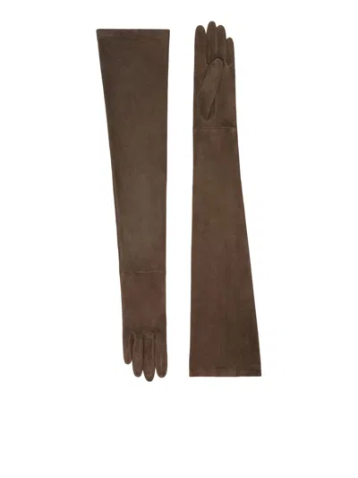 Max Mara Long Suede Gloves In Brown