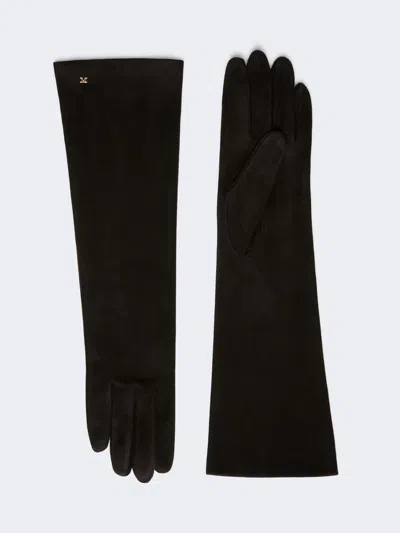 Max Mara Long Suede Nappa Gloves In Black