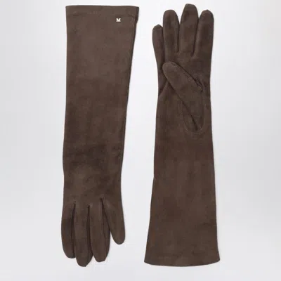 Max Mara Long Suede Nappa Gloves In Brown