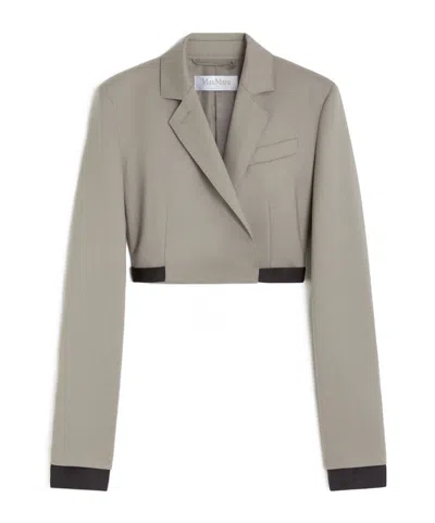 Max Mara Long-sleeved Casual Jacket In Gray