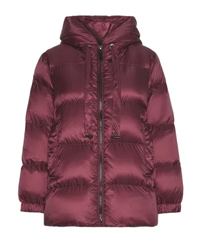 Max Mara Long-sleeved Padded Jacket In Burgundy