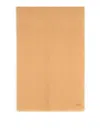 Max Mara Magico Camel Virgin Wool Scarf In Brown