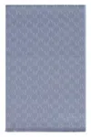 Max Mara Magico Virgin Wool Scarf In Blue