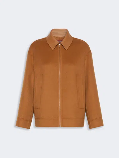 Max Mara Manteau En Double De Laine, Cachemire Et Soie In Brown