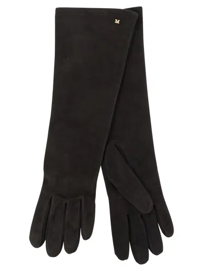 Max Mara Maxmara Afideesuede Long Suede Nappa Gloves In Brown