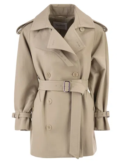 Max Mara Dove Grey Cotton Cacio Trench Coat In Multi