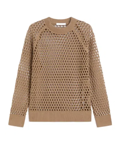 Max Mara Mesh-knit Cotton Sweater In Brown