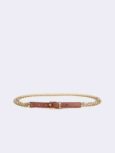 Max Mara Metallic Chain And Leather Belt In Brown