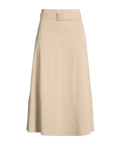 Max Mara Midi Skirts In Multi